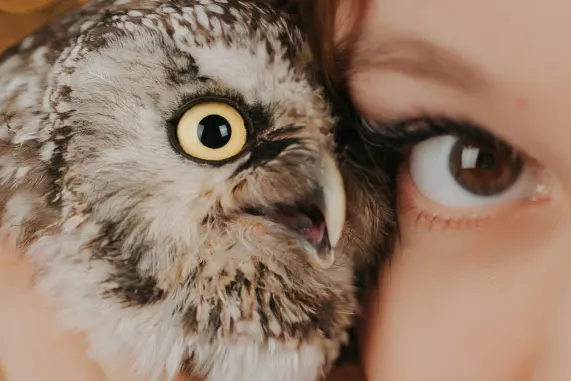 MatchUp Casino Kundeservice